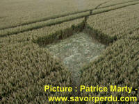 Avebury Stone Circle, Wiltshire crop circle, aerial photo 61